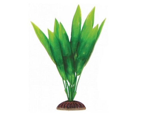 Laguna Растение Эхинодорус зеленый, 200мм