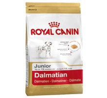 ROYAL CANIN Dalmatian Junior, 12кг