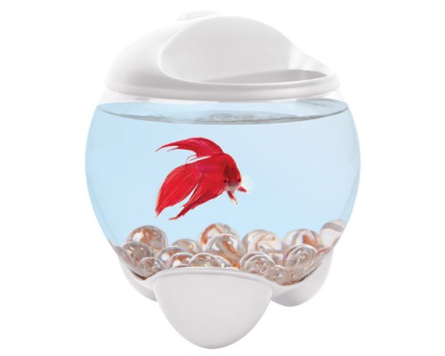 Tetra Betta Bubble белый аквариум-шар д/петушков с освещен. 1,8л