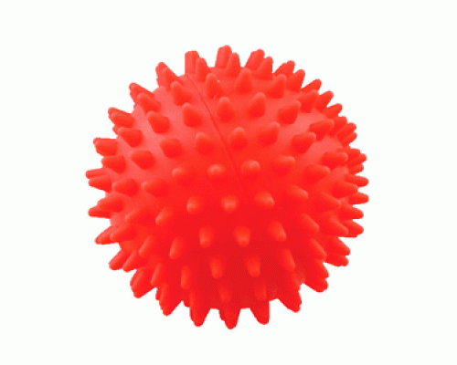 Мяч для массажа Зооник