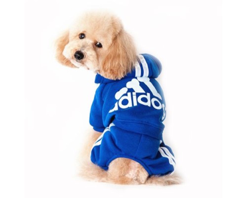 Спортивный костюм для собак Adidog